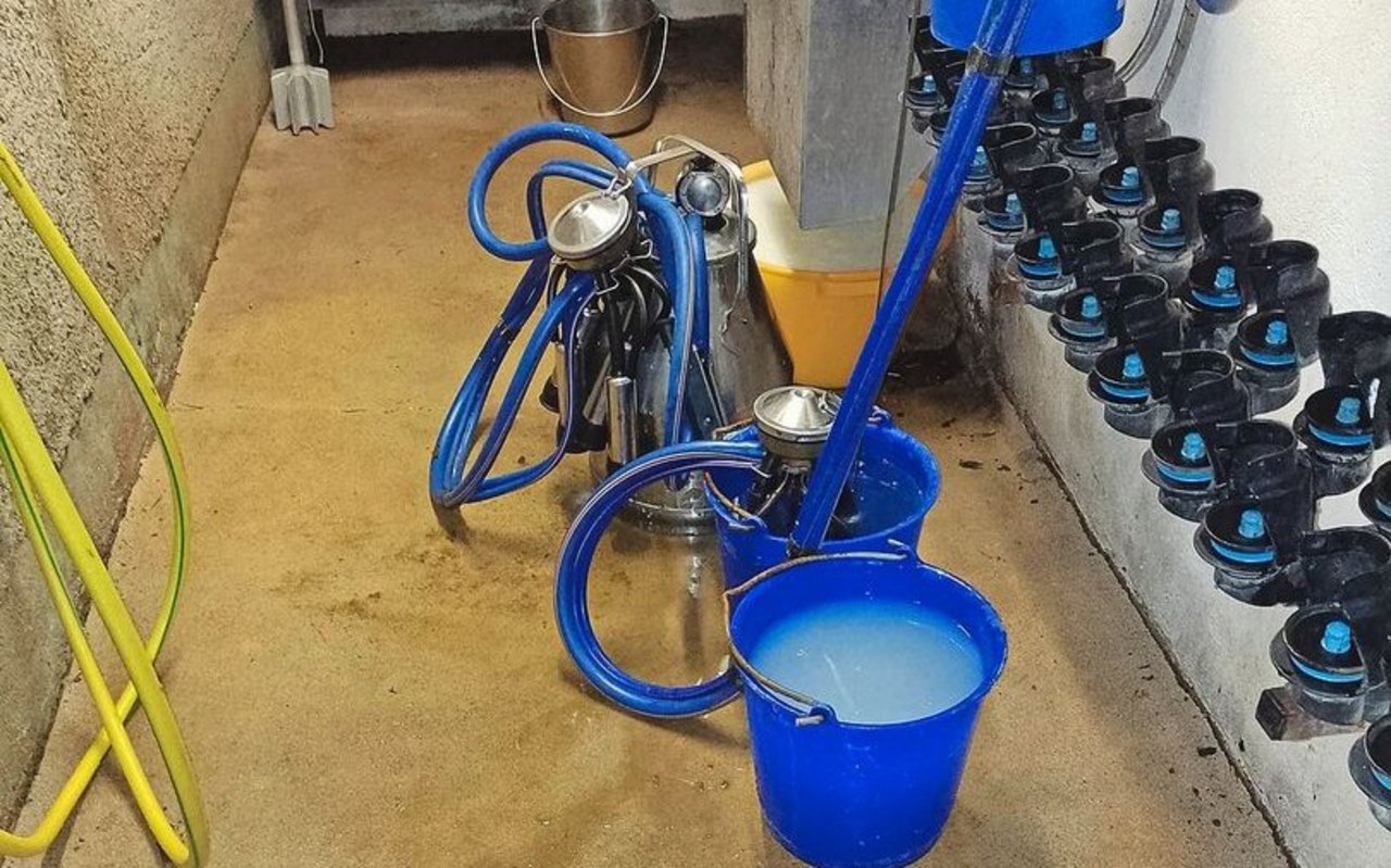 Es stehen verschiedene Kessel mit Wasser am Boden. Darin wird das Melkgeschirr auf der Alp zwischen zwei Melkungen desinfiziert.