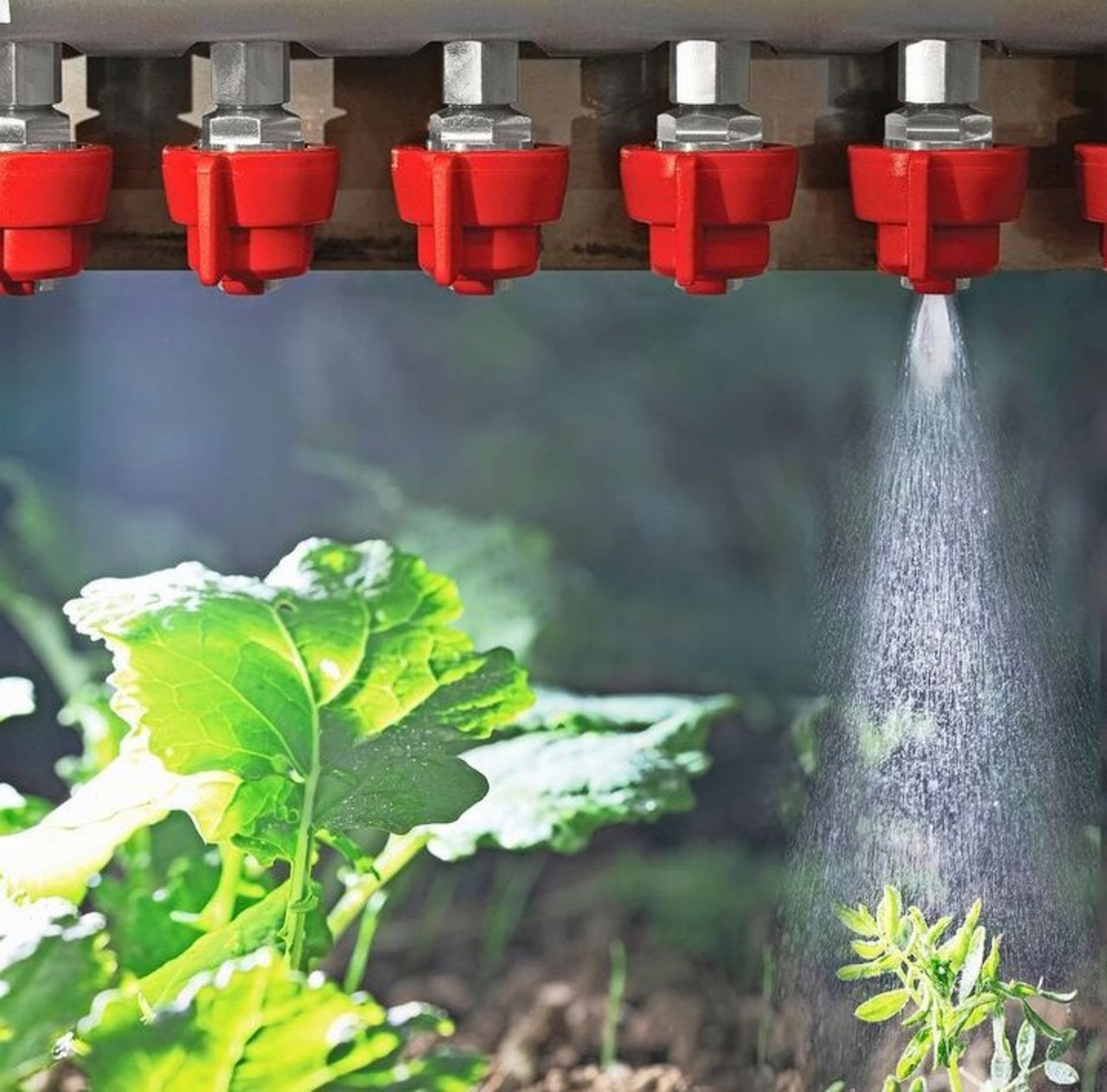 Gezielt spritzen statt flächig ausbringen – Bandspritzung und Spot-Spraying sparen Pflanzenschutzmittel. 