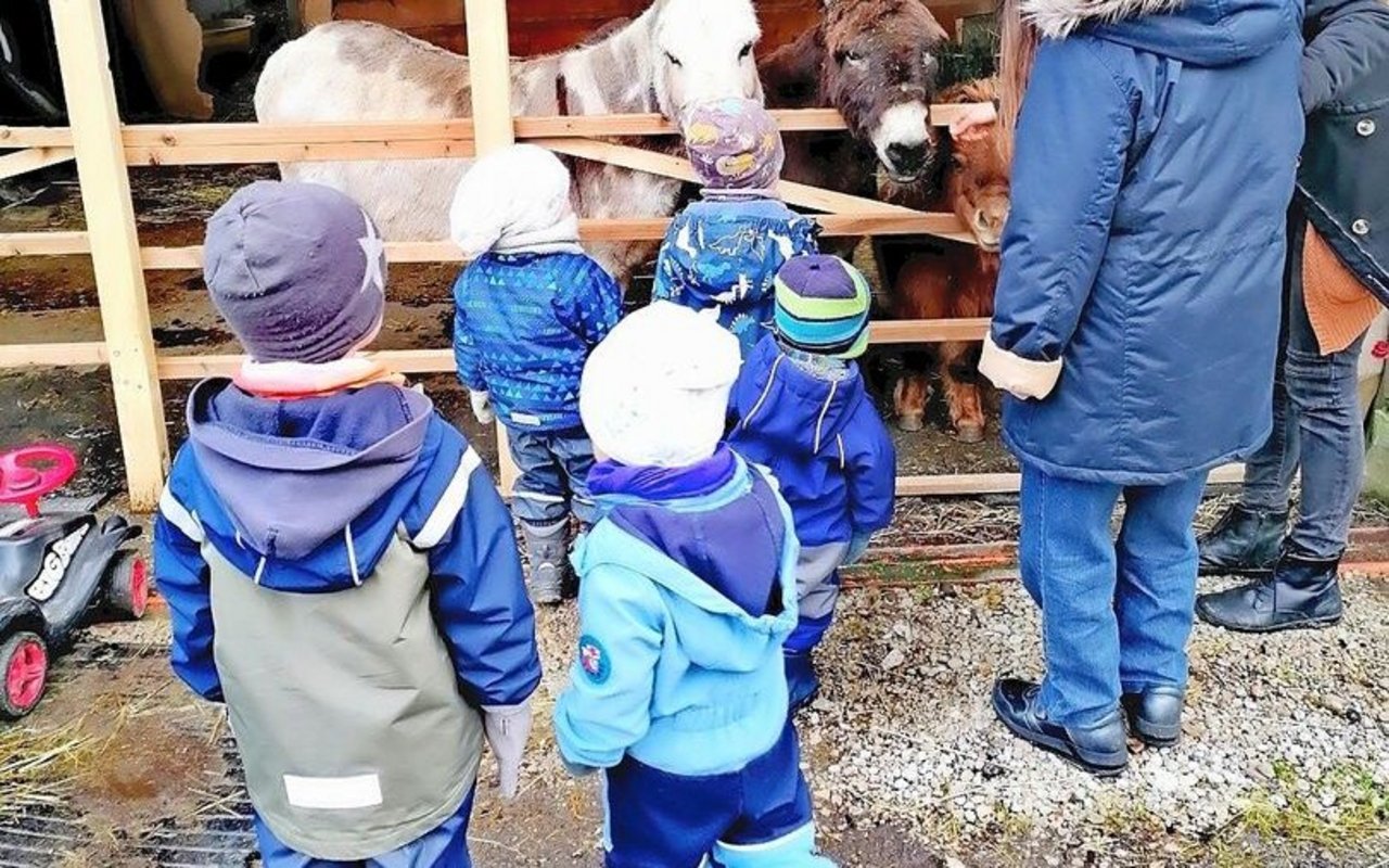 Die Hoftiere werden in das Betreuungsangebot auf dem Burehof Seelefride einbezogen.