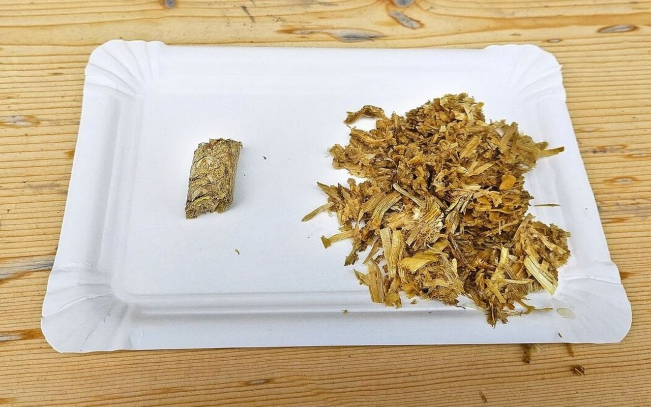 1 Kilo Pellets können rund 4 Liter Wasser aufsaugen. Res Fiechter setzt die Pellets bei seinen Legehennen und den Pferden als Einstreu ein.