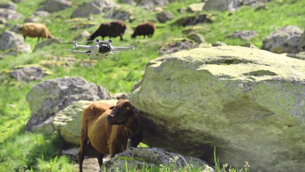 Drohnen werden insbesondere zur Tierkontrolle, Überwachung von Zäunen und zur Schadensabschätzung nach Wolfsangriffen eingesetzt.