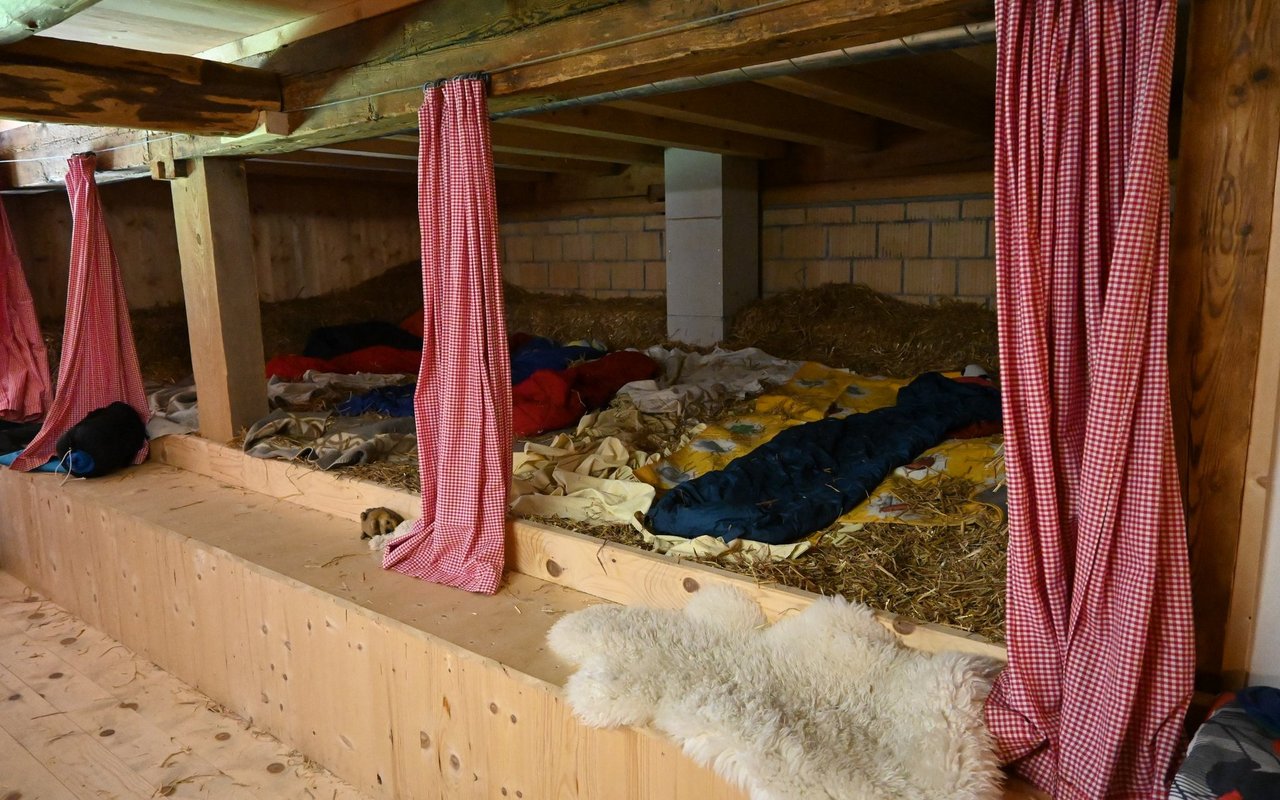 Während den beiden Pandemiejahren boomte Agrotourismus. Seit Reisen ins Ausland wieder problemlos möglich ist, nimmt hingegen der Reiz von Ferien in der Schweiz ab.