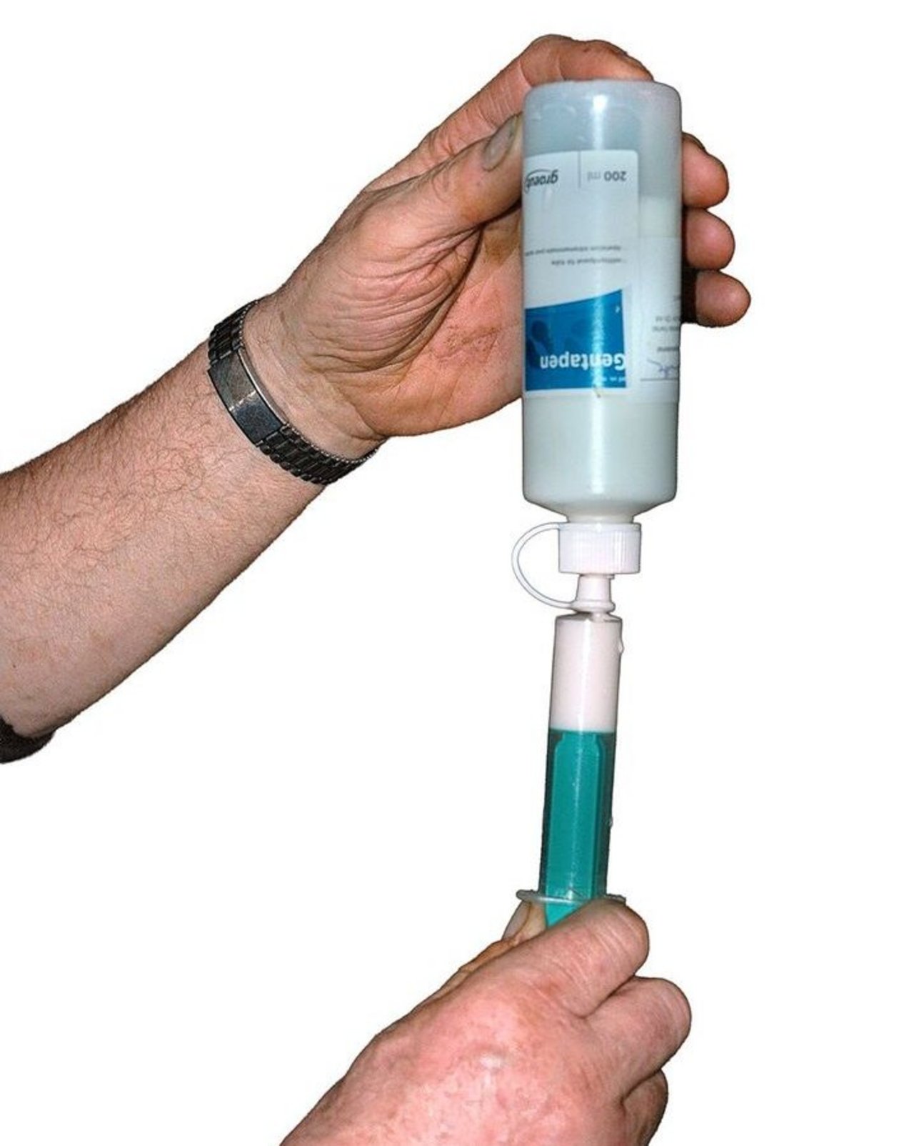 Da Mykoplasmen keine Zellwand besitzen, sind viele Antibiotika-Wirkstoffgruppen nicht wirksam.