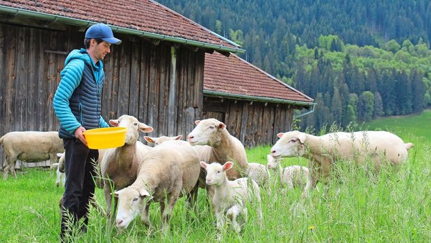 Carlo Rizzi und seine Frau Monja mästen jährlich rund 90 bis 100 eigene Lämmer und kaufen etwa 100 Mastlämmer zu.