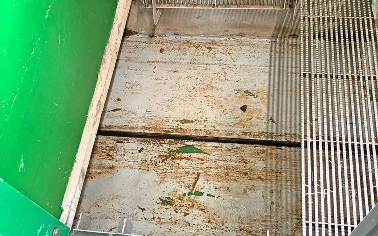 Blick in einen Güllekanal mit Kot- und Harntrennung im Schweinestall.