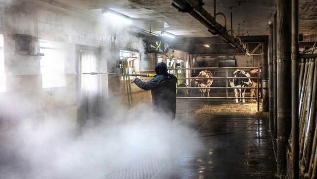 Zum Schluss wird es heiss: Martin Abderhalden wäscht gelösten Dreck mit heissem Wasser unter Hochdruck herunter.