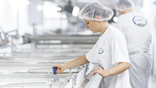 Frischkäse-Produktion bei Züger in Oberbüren.