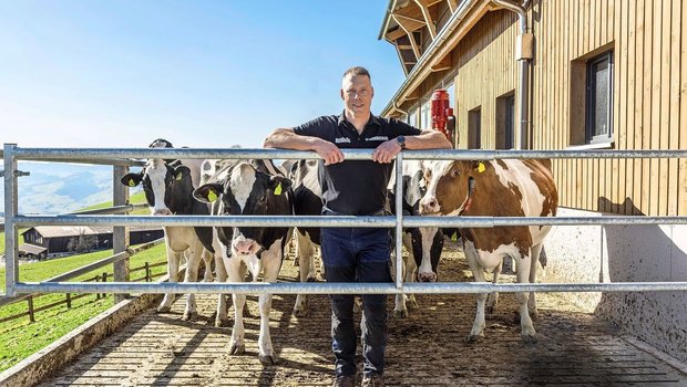Matthias Sempach und seine Holsteinkühe freuen sich auf den Weidestart. Die Weiden hat er mit einem festen Zaun eingezäunt.