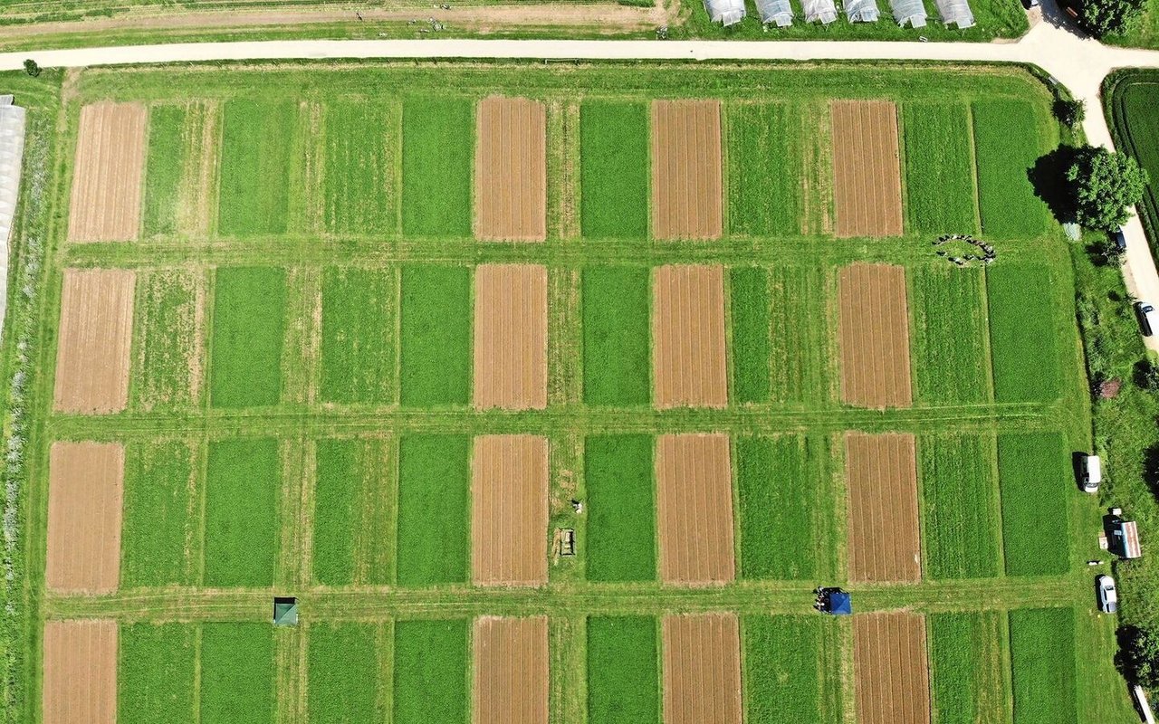 Seit den 1970er-Jahren werden in Therwil BL die Anbausysteme Biologisch-dynamisch (D), Biologisch-organisch (O) und Konventionell (K) im DOK-Versuch miteinander verglichen. 