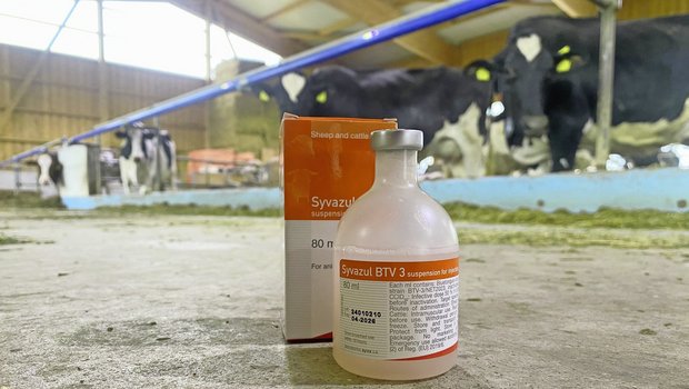 Die Impfung ist eine wichtige Massnahme zur Vorbeugung der Blauzungenkrankheit und sollte nun abgeschlossen sein.