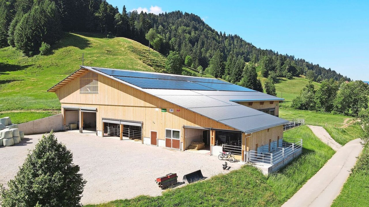 Ein neuer Stall muss so gebaut sein, dass tägliche Routinearbeiten mit möglichst wenig Aufwand erledigt werden können. 