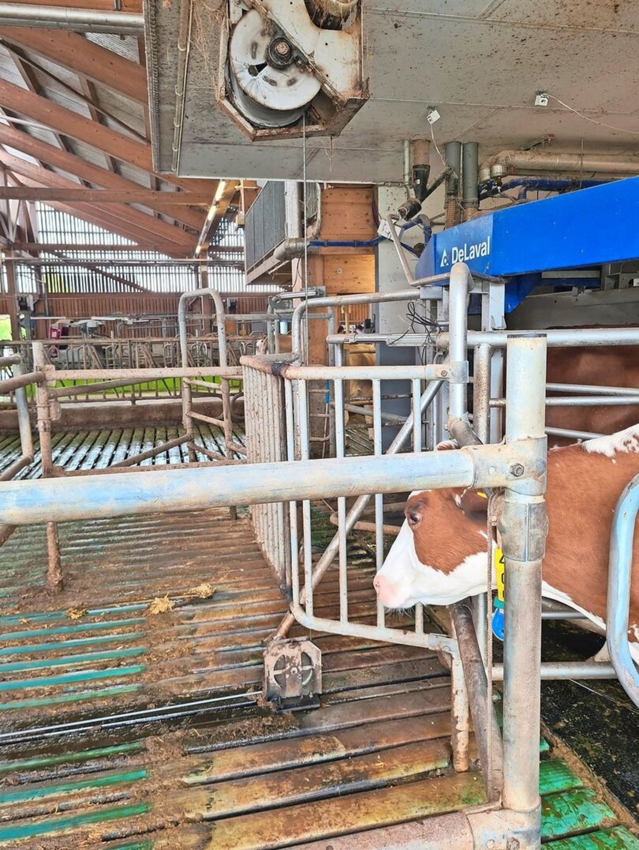 Umlenkrollen und Windentrommeln haben enge Radien und sind eine Belastung für das Zugseil. 