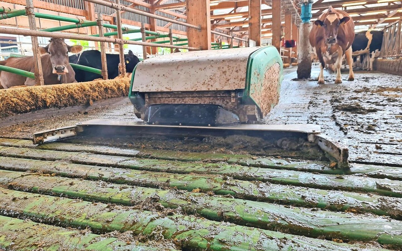 Der Schieberoboter kann im Gegensatz zum Seilzugschieber sämtliche Flächen erreichen. So kann er auch Quergänge säubern, solange es in seinem Arbeitsbereich keine Stufen hat.