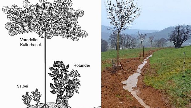 Keyline-Design im Querschnitt (links) und in der Praxis (rechts) während eines Regenereignisses.