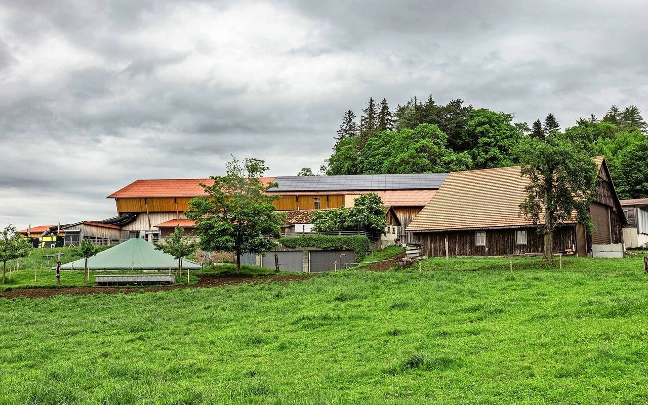 Das Dach über dem Heustock ist zweiteilig. Auf der linken Seite wurde ein normales Unterdach eingebaut. Rechts befindet sich das Unterdach quasi unter den Solarpanels. Mit beiden Systemen kann die Luft für die Belüftung im Heustock erwärmt werden.