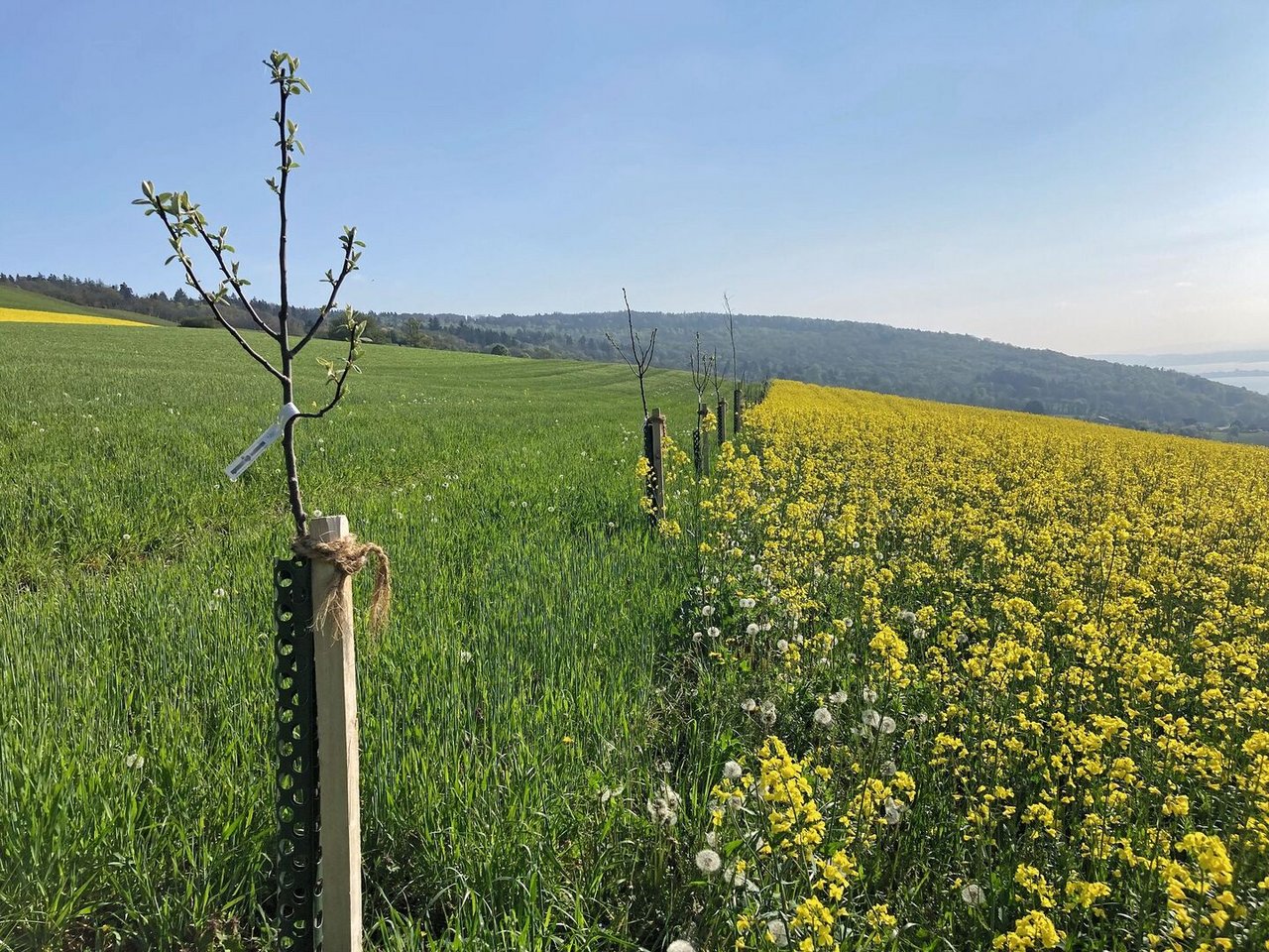 Wohin des Weges? FiBL-ForscherInnen arbeiten eng mit den ProduzentInnen zusammen und untersuchen innovative Formen der Landwirtschaft.
