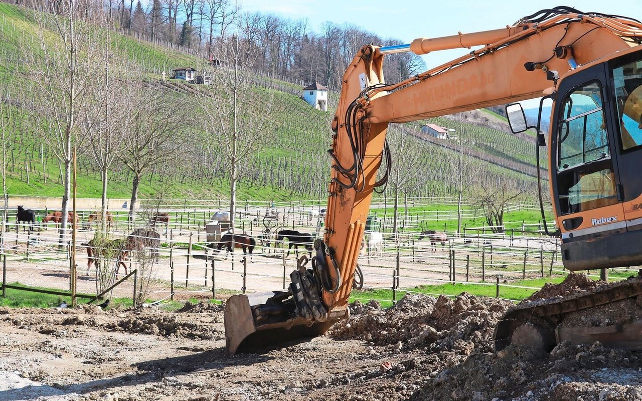 Nur landwirtschaftliche Gewerbe ab 1 SAK dürfen neue Bauten und Anlagen für die Pferdehaltung erstellen.