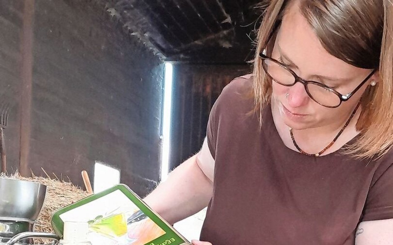 Johanniskraut, geschnitten und in Öl eingelegt, hat eine Heilwirkung.