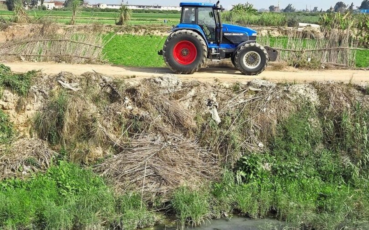 Einer der Nebenkanäle des Nils: Das Wasser ist milchig-weiss.