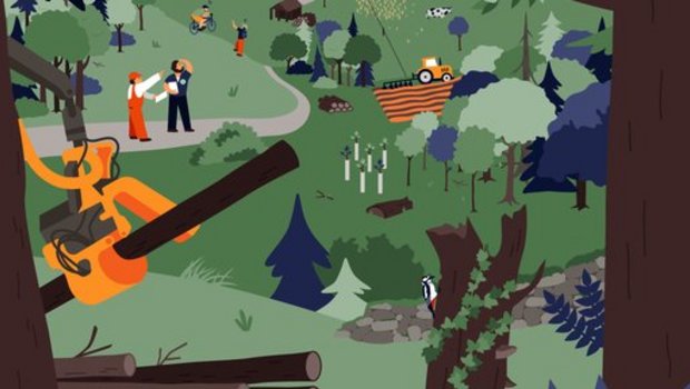 Vielfältige Interessen im Wald – von Freizeit über Wirtschaft bis Naturschutz. 