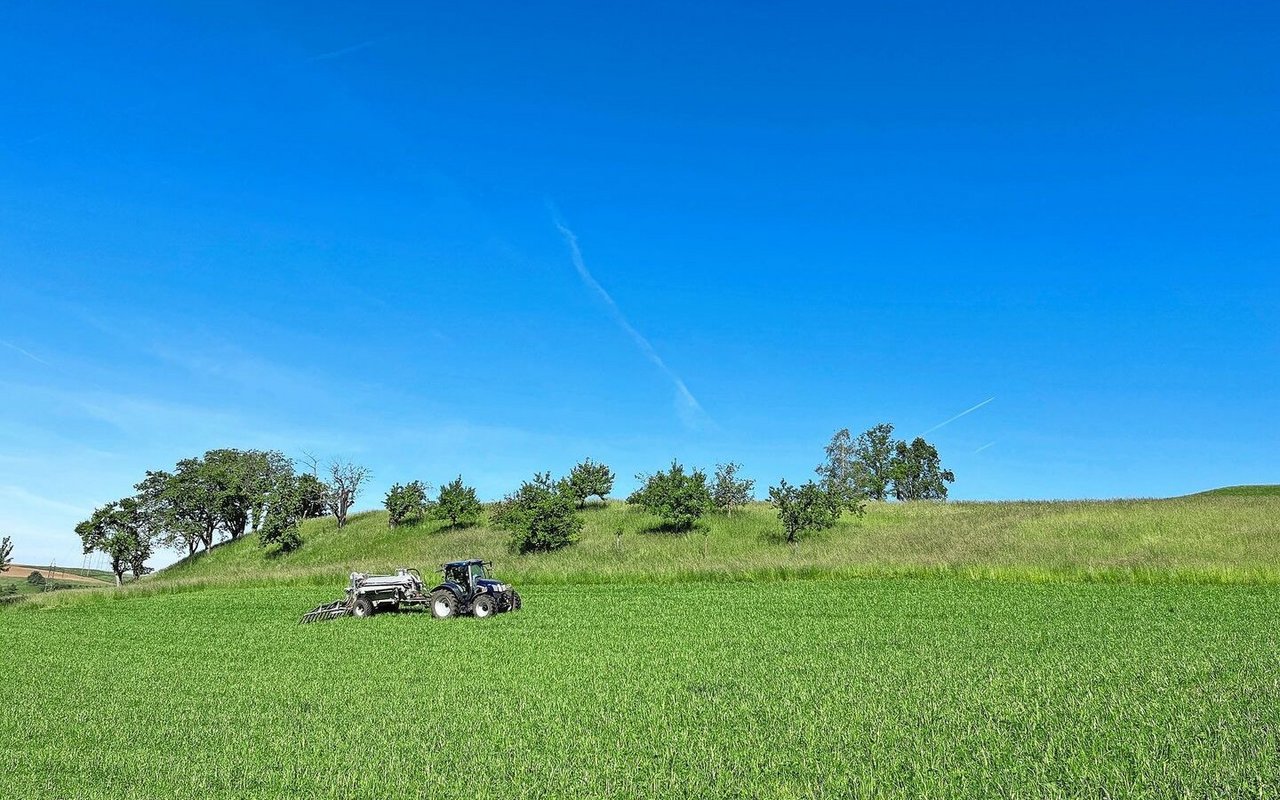 Obwohl technische Massnahmen zur Effizienzsteigerung bei der Gülleausbringung immer wichtiger werden, kommt es auch auf das richtige Timing an. 