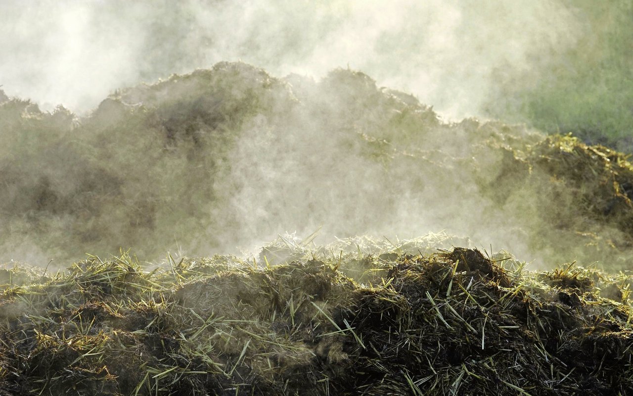 Wie lässt sich Hofdünger lagern, damit weniger Emissionen entstehen? 