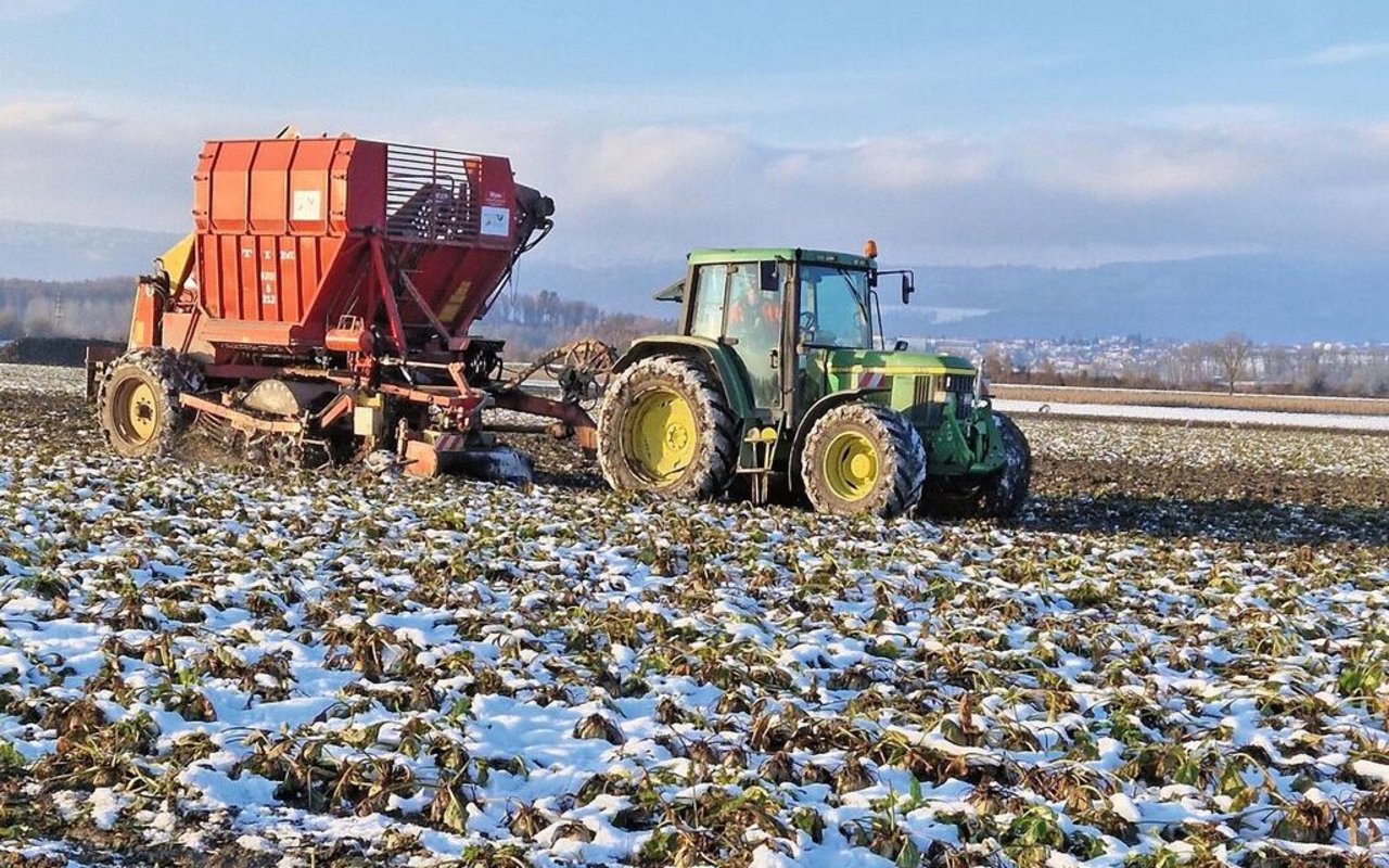 Schwierige Bedingungen begleiteten die Zuckerrübe während des gesamten Anbaujahres 2023.