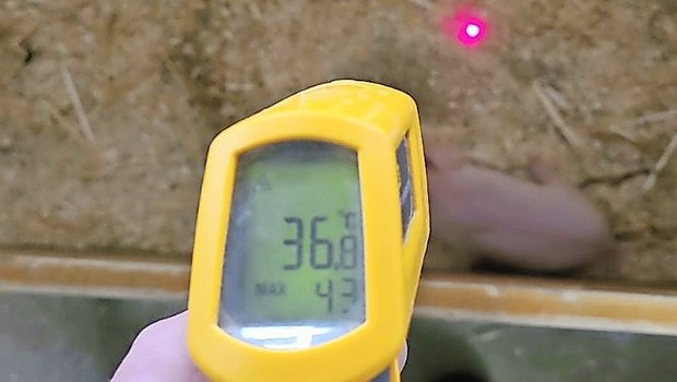 Das richtige System für den eigenen Betrieb, mit kontinuierlicher Überprüfung der Einstellungen, hilft Kosten im Griff zu behalten.