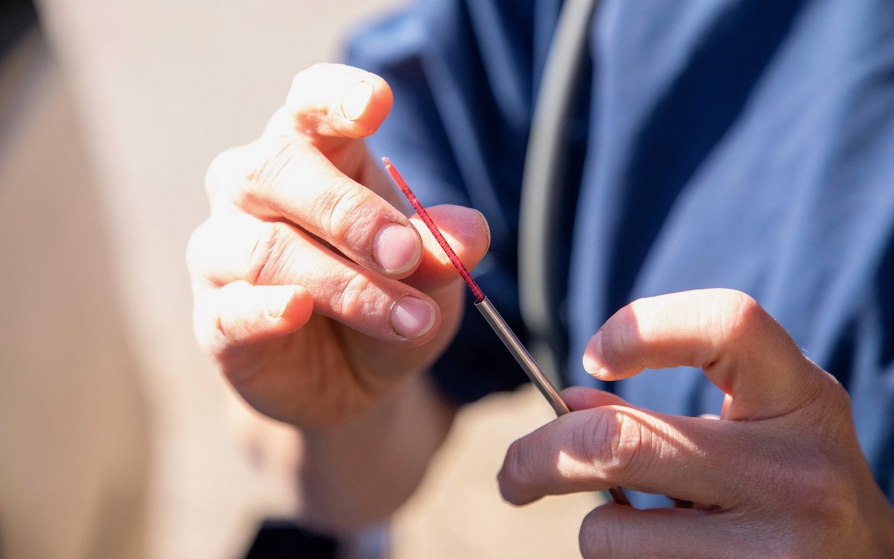 Digitale Hilfsmittel können dabei helfen, dass Brunsten rechtzeitig erkannt werden und folglich zum richtigen Zeitpunkt besamt werden kann.