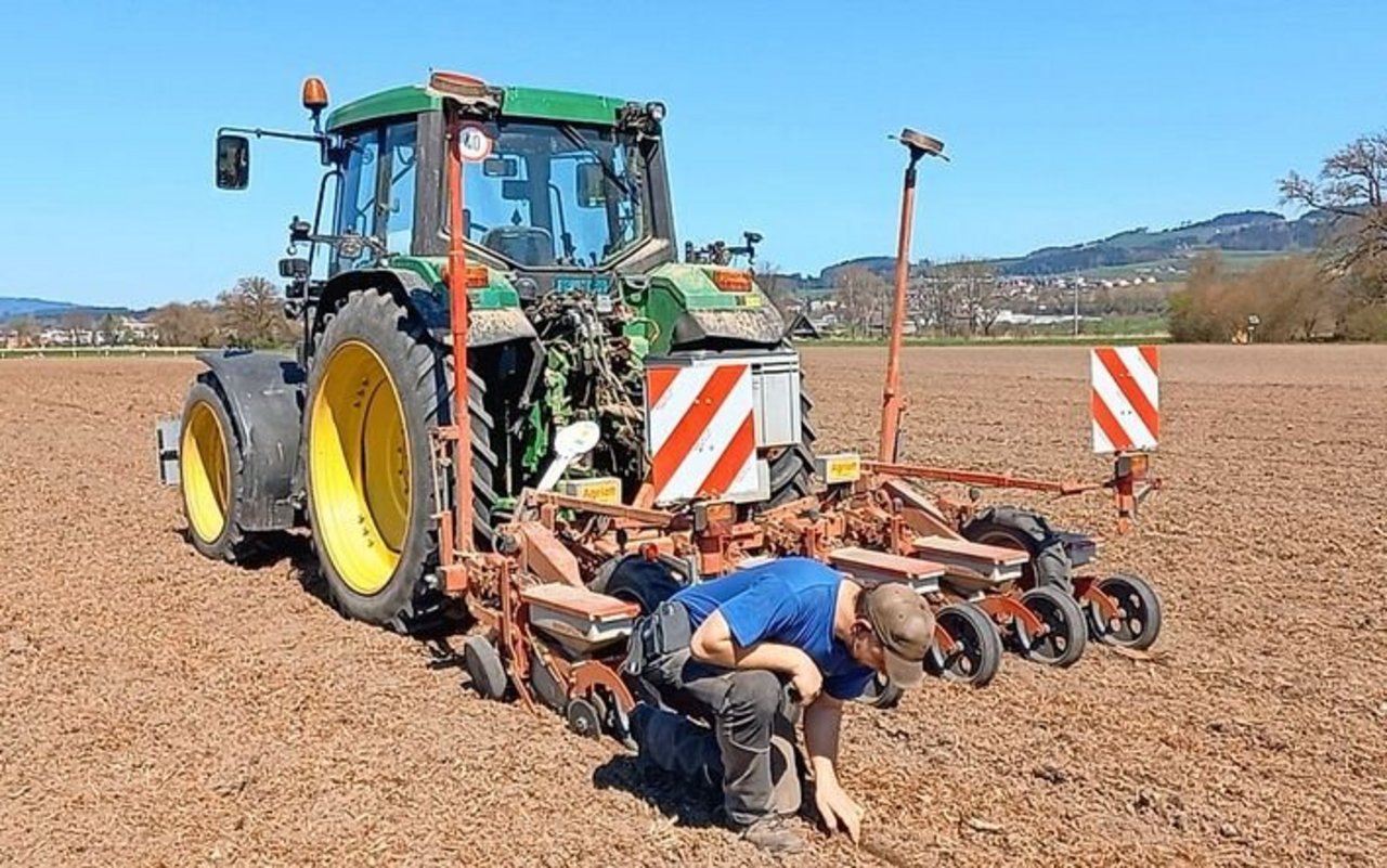 Die exakte Saatgutablage war bei der Mulchsaat herausfordernd. Andreas Zwahlen kontrollierte die Saatguttiefe und erhöhte den Schardruck gegenüber dem Pflugverfahren.