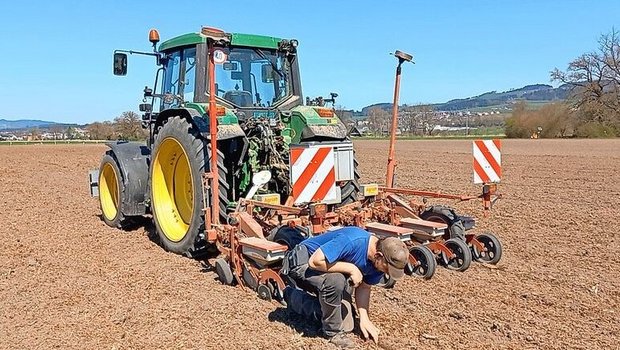 Die exakte Saatgutablage war bei der Mulchsaat herausfordernd. Andreas Zwahlen kontrollierte die Saatguttiefe und erhöhte den Schardruck gegenüber dem Pflugverfahren.