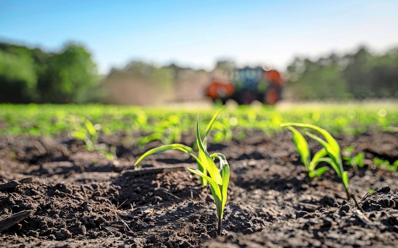 Die Parlamentarische Initiative von Philipp Bregy will, dass EU-Bestimmungen zu Pflanzenschutzmitteln in der Schweiz zur Anwendung kommen.