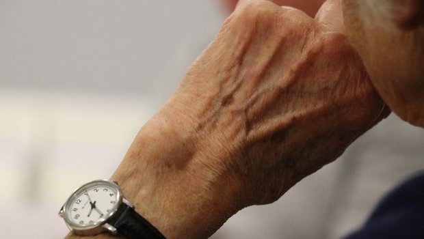 Bei den Vorbereitungen zur Hofübergabe und bei einer möglichen Anstellung nach dem Pensionsalter müssen sich LandwirtInnen mit der AHV befassen.