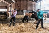 Das Schwestern-Duo Nina (links) und Lena Hitz gehören neu zum Team. «Viele Schultern tragen die Verantwortung», sagt Landwirtin Nina Hitz.  Bild: Matthias Nutt 