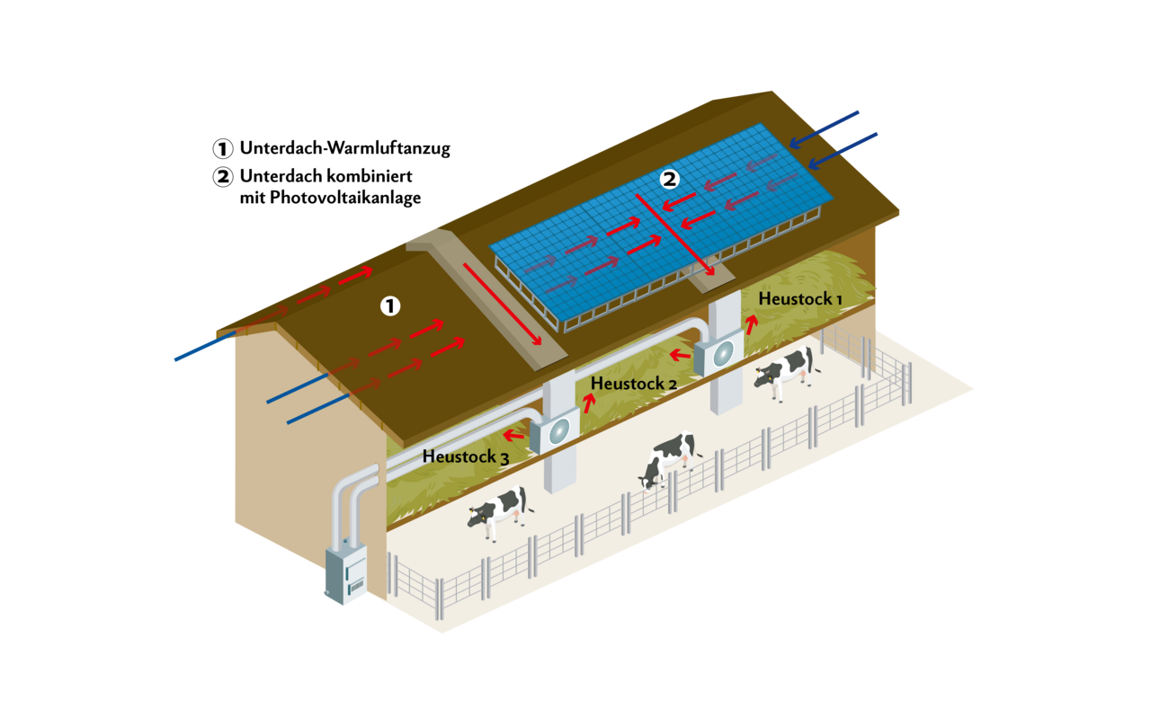 Auf der rechten Dachhälfte wurden südseitig Solarpanels installiert, welche doppelt genutzt werden. Einerseits liefern sie Strom und anderer-seits kann sich die Luft zwischen Solarpanel und Dach erwärmen. Die warme Luft wird von Lüfter 1 angesogen und in den Heustock geblasen. Zusätzlich wurde eine Schnitzelheizung installiert, welche beide Lüfter bei Bedarf mit warmer Luft versorgt. Die Heizung wärmt die Luft um bis zu 15 Grad. Die Heizung reguliert die Temperatur, sodass die Dachwärme und die Wärme der Holzschnitzelheizung zusammen 42 Grad nicht übersteigen.