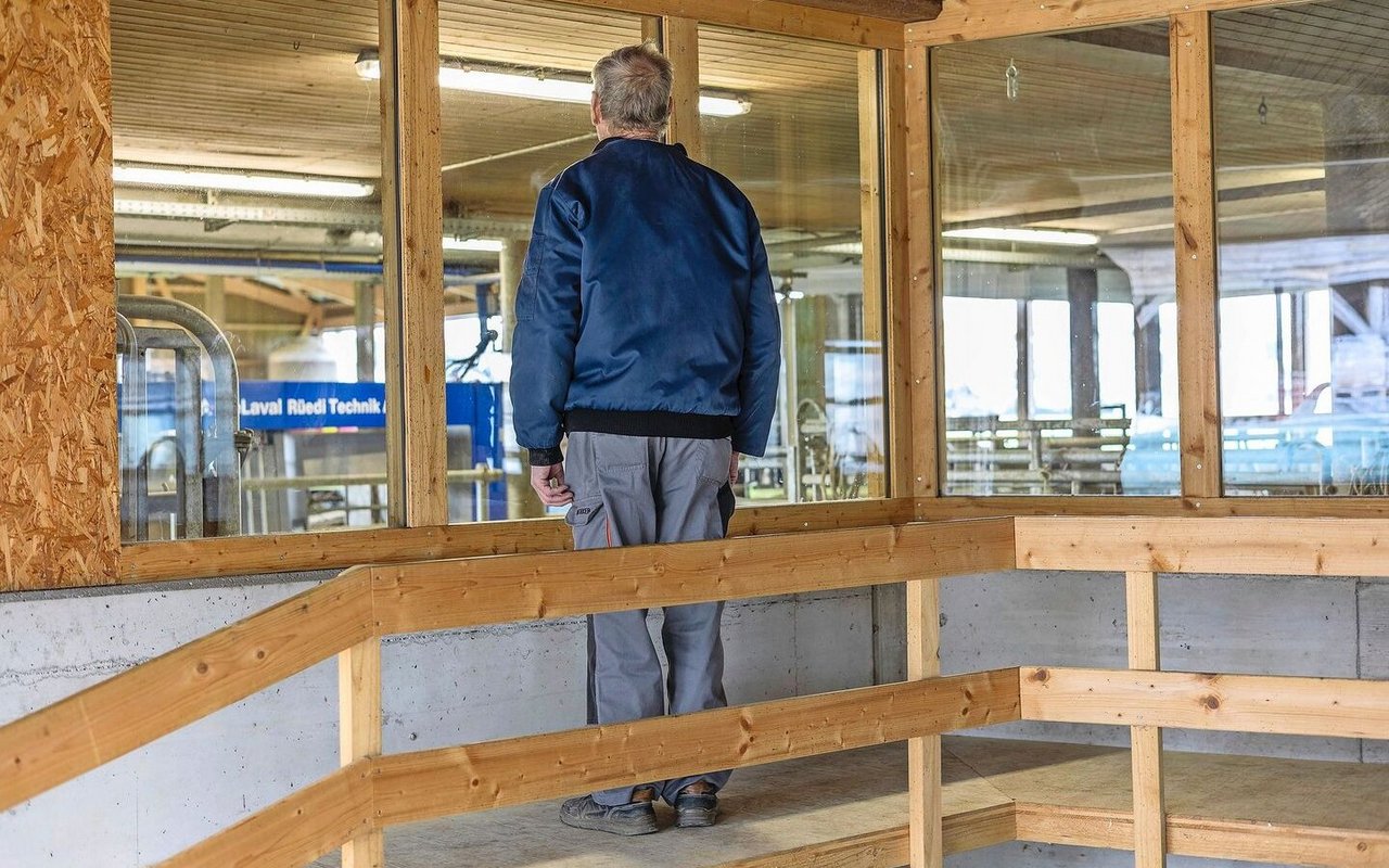 Einblick in den Stall: Vom Podest aus haben BesucherInnen freien Blick auf den Melkroboter und die Milchkühe von Tobias Kritzer.