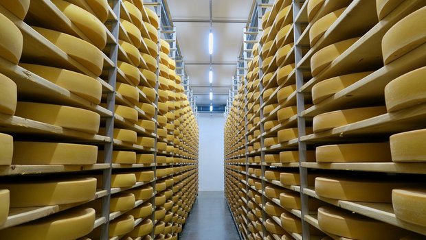 Emmentaler-Käse in der Napf-Chäsi in Luthern LU.