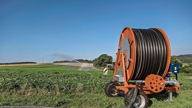 In Kleinguschelmuth FR baut David Perler Saat- und Industriekartoffeln an. Die Bewässerung sichert ihm den Ertrag.