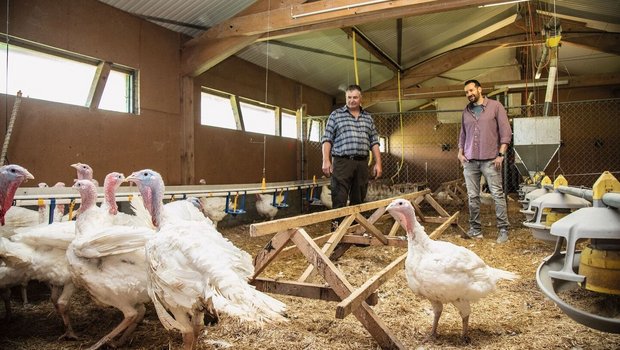 Landwirt Ueli Thöni (links) und Lukas Stalder, Küchenchef im Grandhotel Giessbach, in Thönis Trutenstall in Brienz BE. 