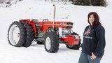 Der Massey Ferguson 165 ist Nicole Schulers Traumtraktor.  (Bild: «die grüne»/Gian Vaitl)