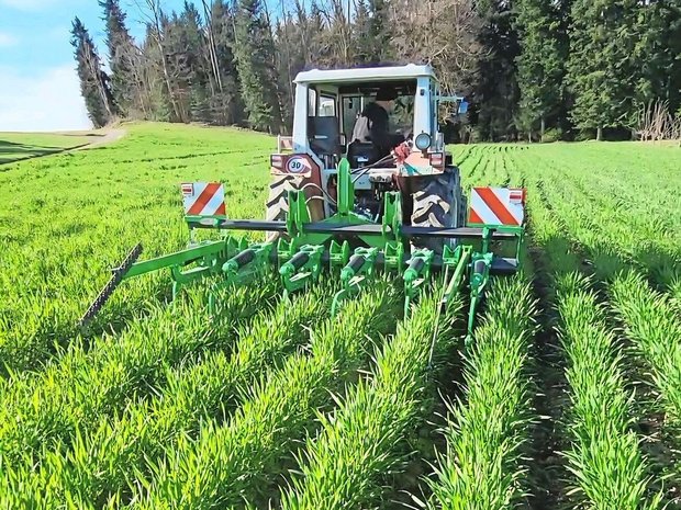 Stefan Rohrbach hat selbst einen Dammpflug entwickelt und gebaut. Das Dämmeziehen, die Saat und die Pflegearbeiten erfolgen mit dem gleichen Gerät.