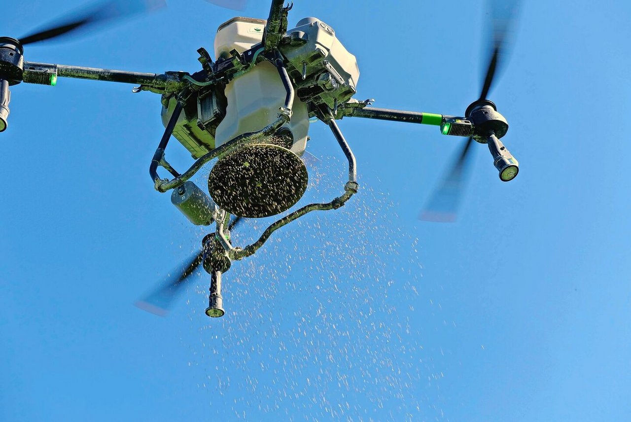 Sanft aus der Luft gestreut: Die Drohne bringt Gras- und Kleesamen aufs Feld – der erste Schritt zu mehr Bodenruhe und besserer Feldhygiene.