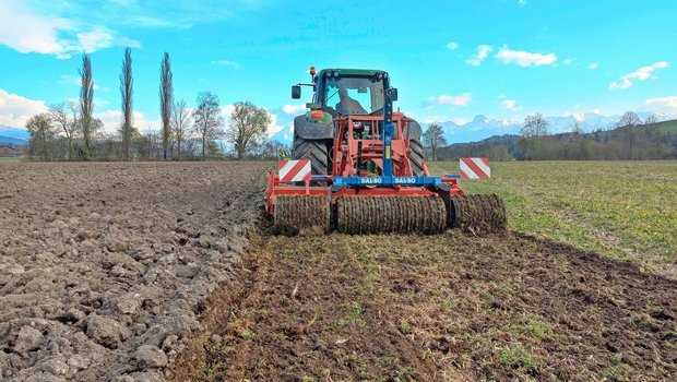 Die linke Seite der Parzelle wird im Pflugverfahren und die rechte im Mulchsaat-Verfahren angebaut. Der rechte Teil wurde direkt nur mit Zinkenrotor und Walze bearbeitet. 