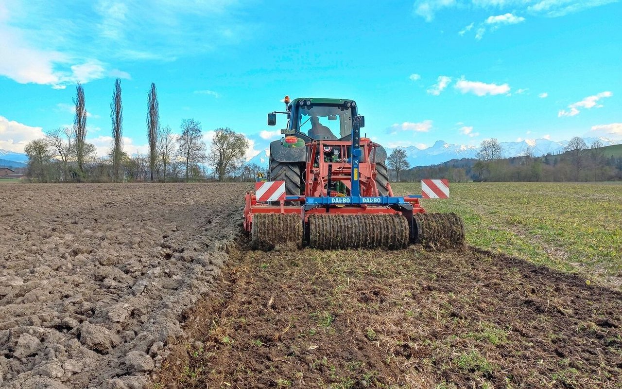 Die linke Seite der Parzelle wird im Pflugverfahren und die rechte im Mulchsaat-Verfahren angebaut. Der rechte Teil wurde direkt nur mit Zinkenrotor und Walze bearbeitet. 