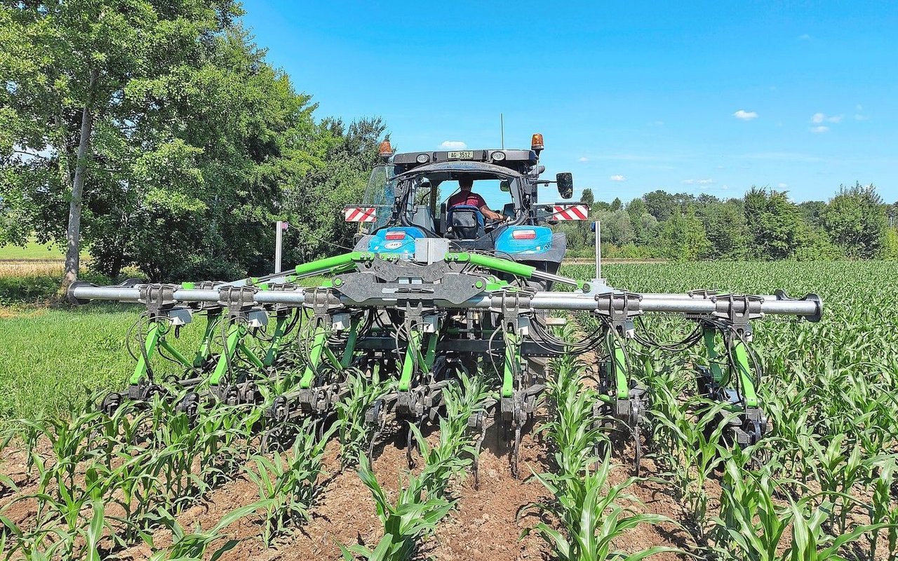 Das Hackgerät hat sieben Hackkörper und kann sechs Reihen bearbeiten. Dank der ausgeklügelten Bilderkennungssoftware stellt sich das Gerät automatisch auf die Reihenbreiten ein.