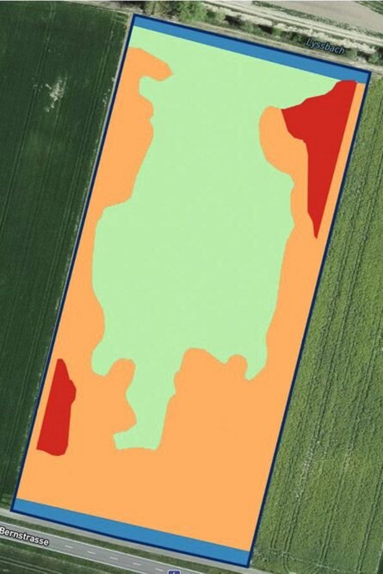 Am meisten Körner in den roten Zonen, dann orange und grün.