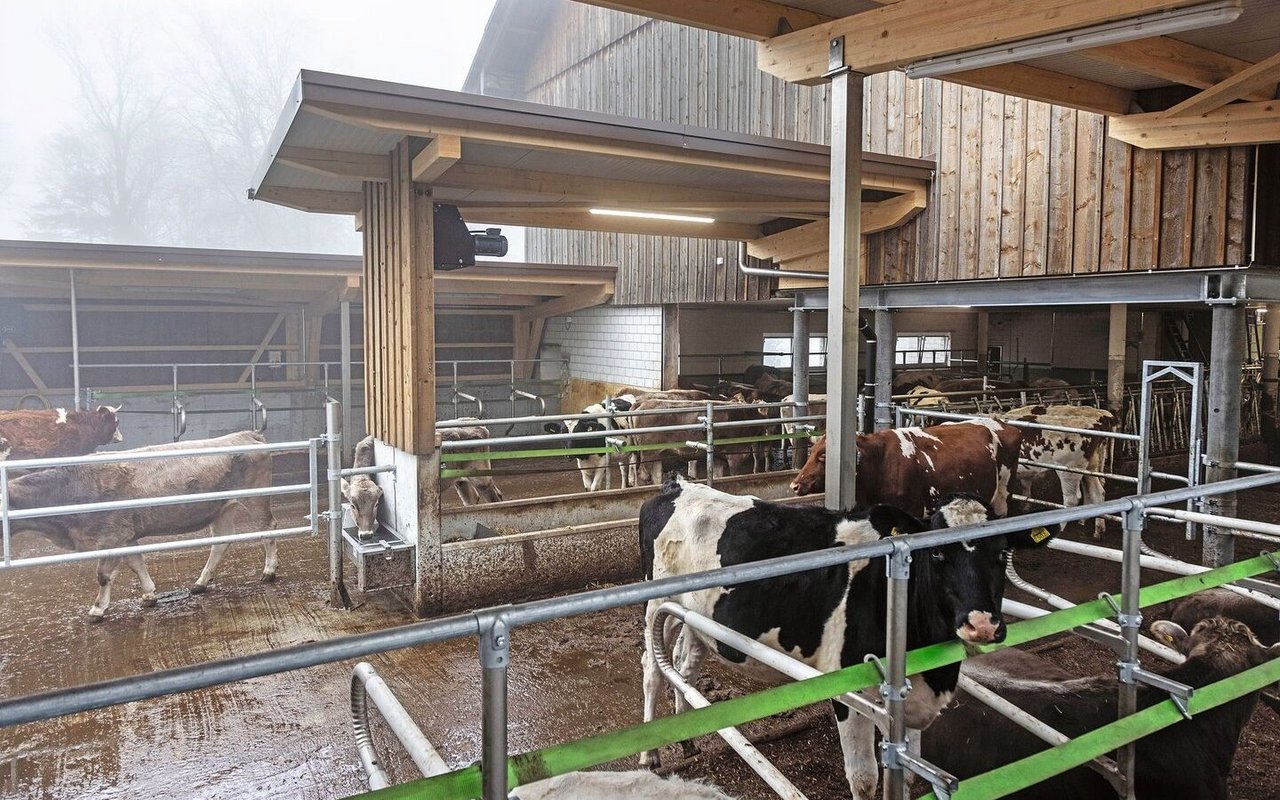 Durch den Anbau ist der Stall offen, hell und luftig.