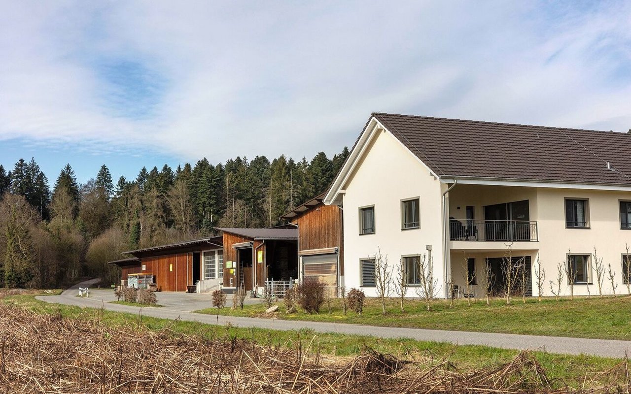 Die drei Etappen: Ganz links die erste Teilaussiedlung mit Maschinenhalle und Hühnerstall, in der Mitte die zweite Halle. 2019 folgten Kuhstall und Wohnhaus.