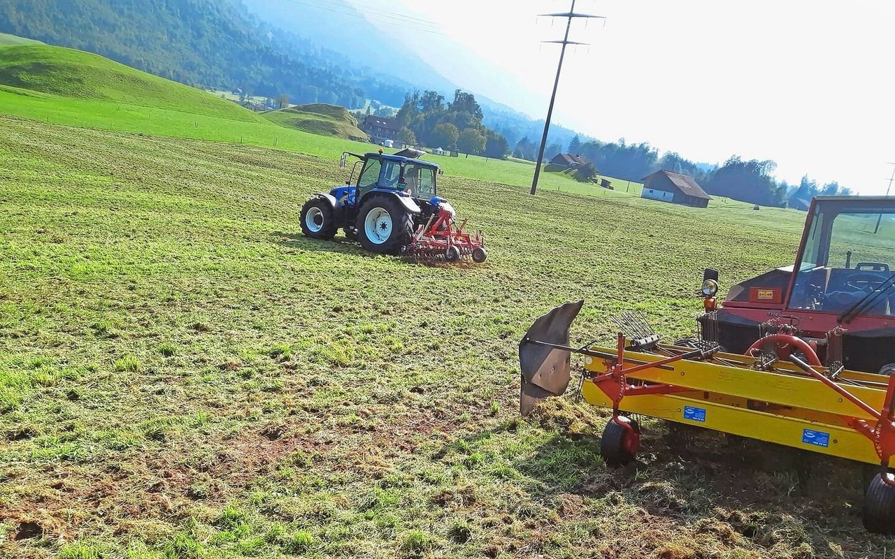 Besteht ein Filz im lückigen Grasbestand, sollte dieser vor der Übersaat ausgestriegelt und das Material allenfalls abgeführt werden.