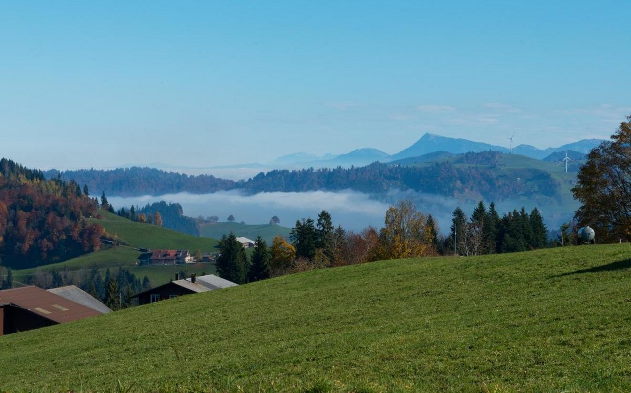 Welche Einflüsse prägen den Strukturwandel der Schweizer Landwirtschaft?